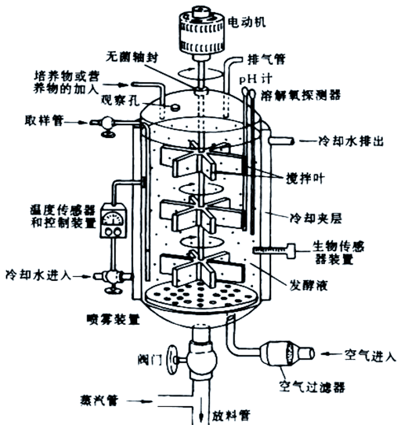 清康源研学——让孩子在实践中成长
