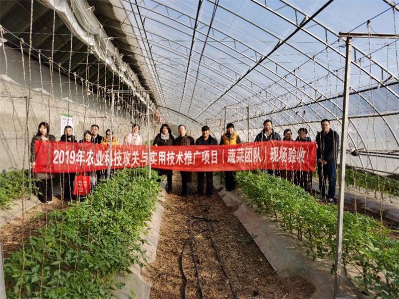 武汉清华康源生物科技有限公司：上半年煤炭板块超额完成双过半目标